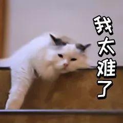 04.jpeg /Content/UploadFile/20200215/7db9cc64-0e5a-4d2f-9338-88997921a2ad-04.jpeg