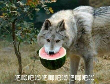 5.jpg /Content/UploadFile/20200703/ca22b21c-4e0c-4f6f-84b2-ed2bfe8717c8-5.jpg