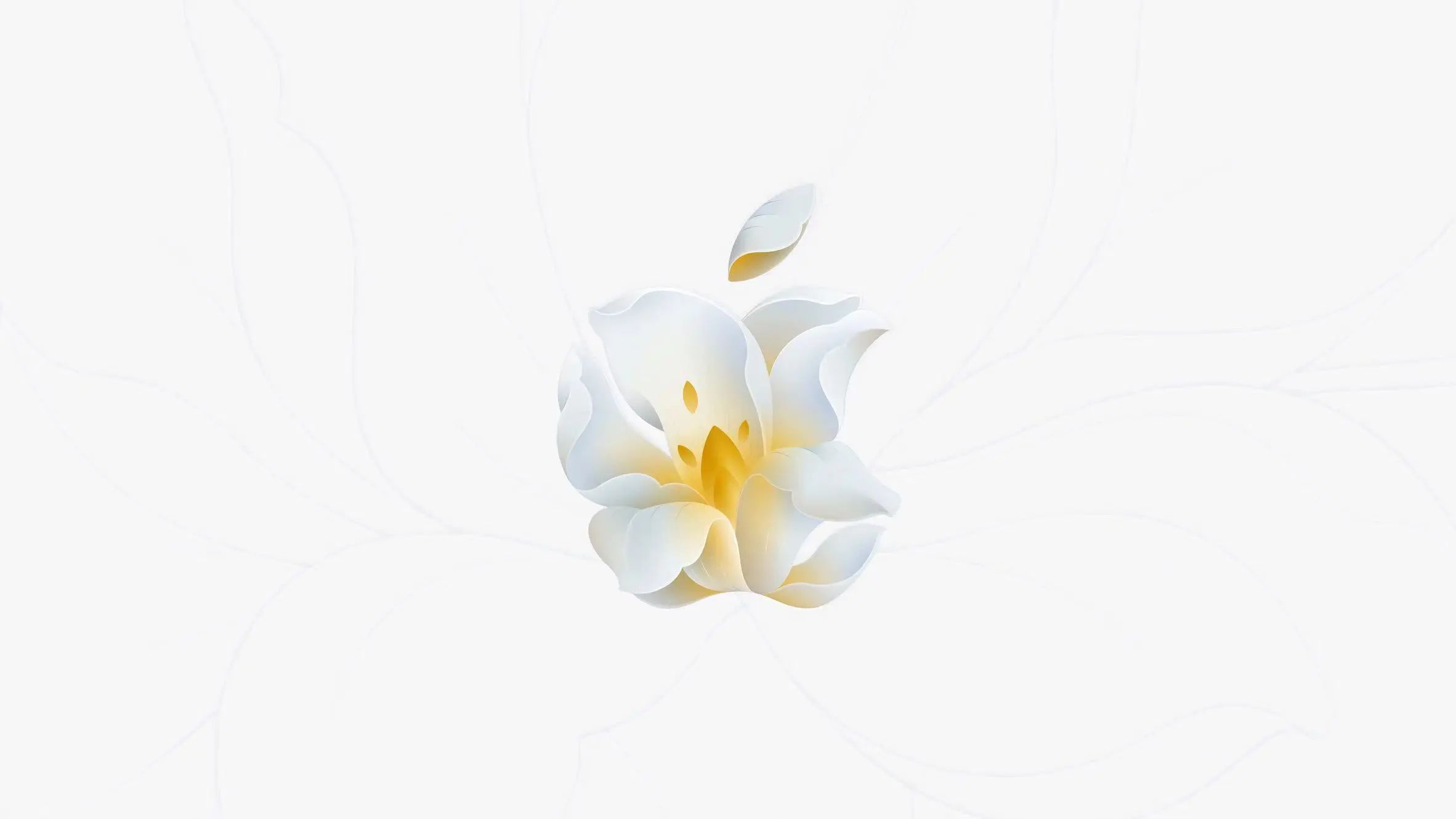 /Content/UploadFile/20240418/91c8dc9a-44e9-4ccd-875f-09d93e31ab2f-image.png